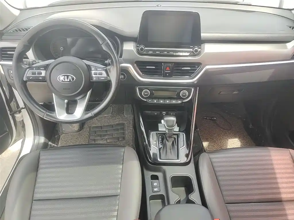 Kia Sportage 2018 2.0L Automatic Smart Luxury (China V) фото 10