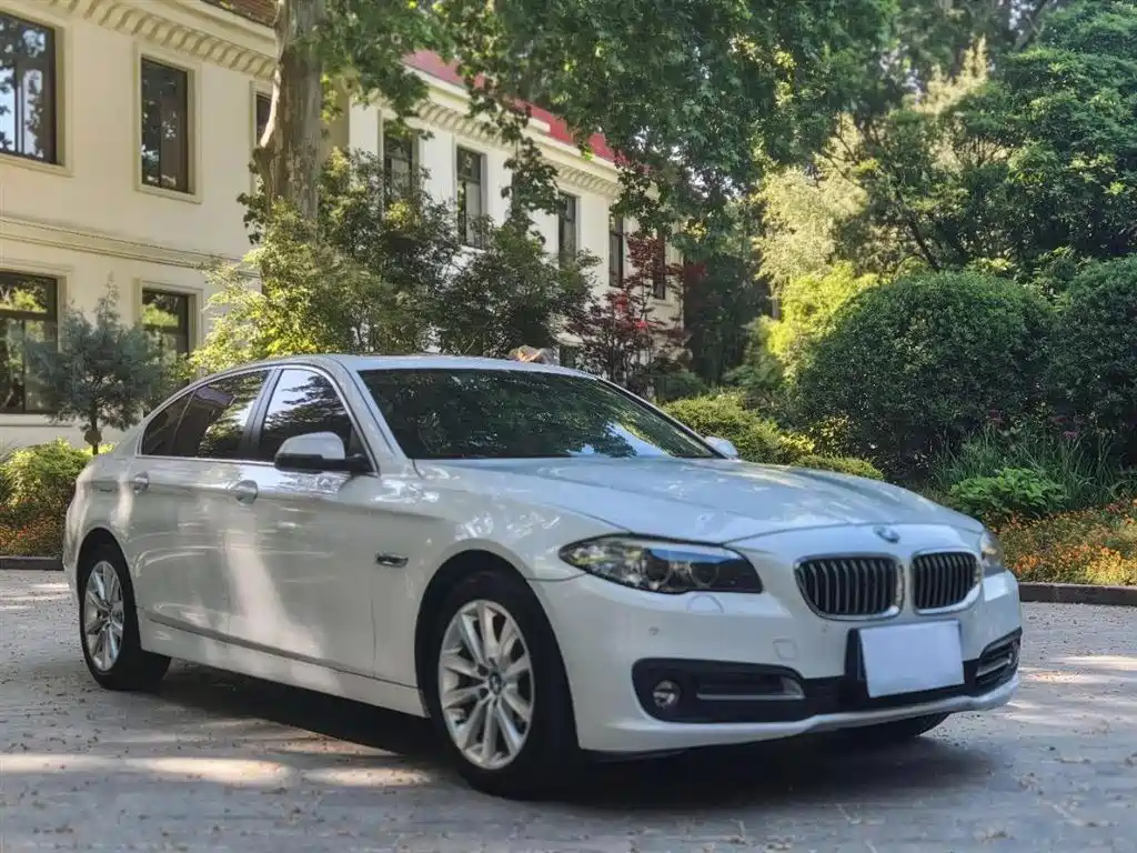 BMW 5 Series 2014 530Li Leading фото 3