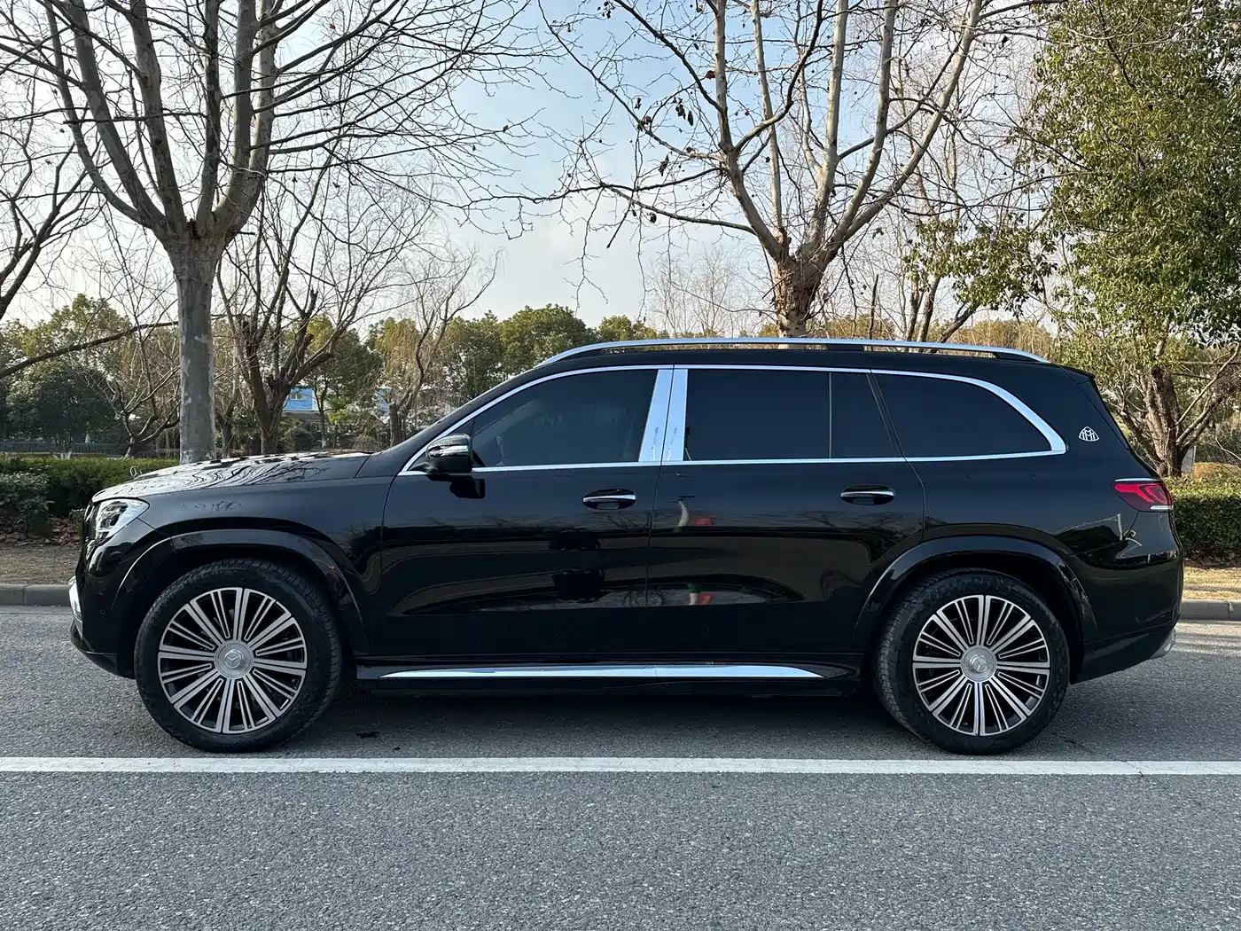 Mercedes-Benz Maybach GLS 2022 GLS 480 4MATIC фото 2