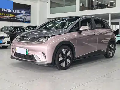 BYD Dolphin