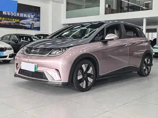 BYD Dolphin 401km, Knight