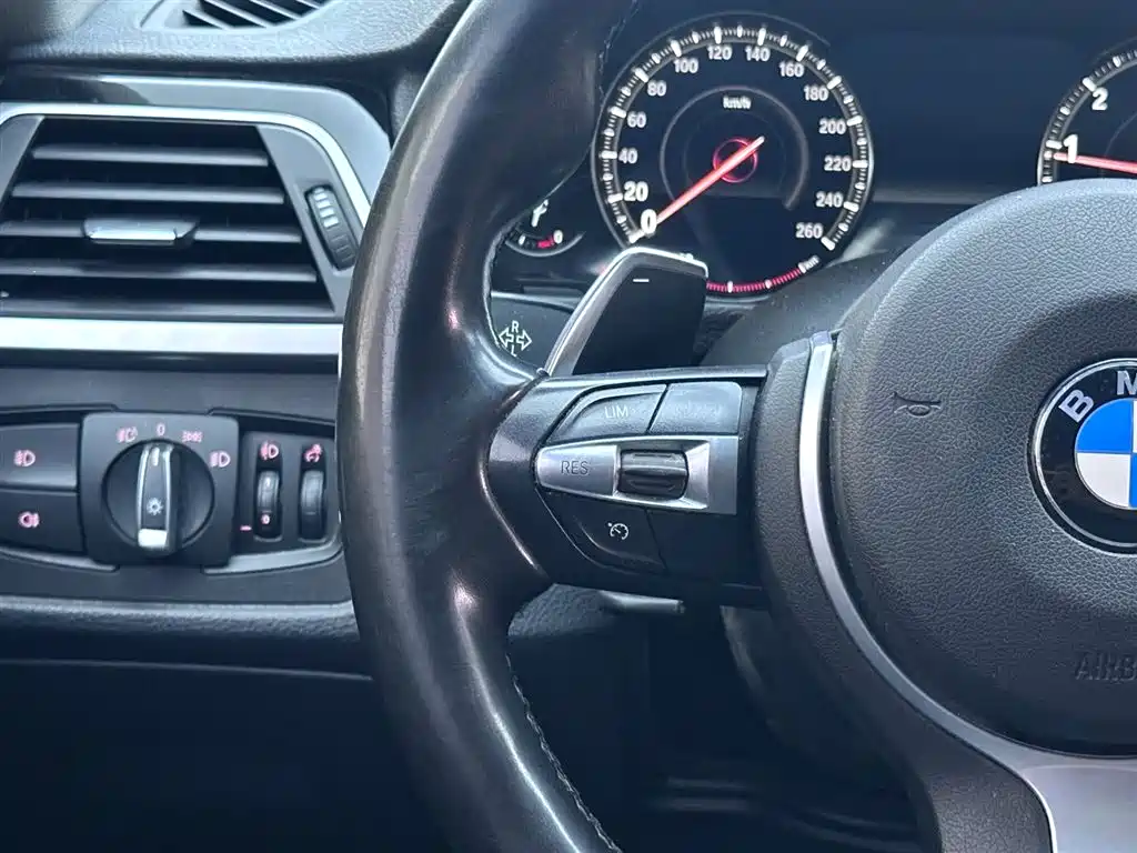 BMW 3 Series 2019 320Li M Sport Black Night Edition фото 15