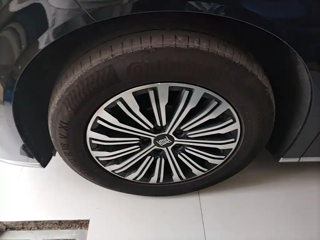BYD Xia 2025 DM-i 1.5T 180km Surpass Edition фото 25