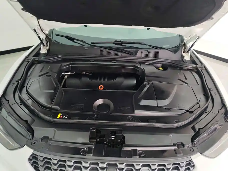 WEY VV5 2021 2021 1.5T 2WD Style Pioneer