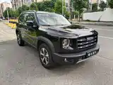Фото 3 - Haval Dargo