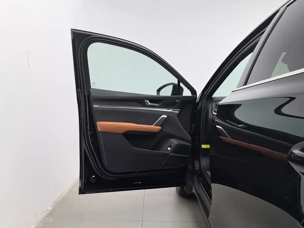 Фото 8 - BYD Tang New Energy