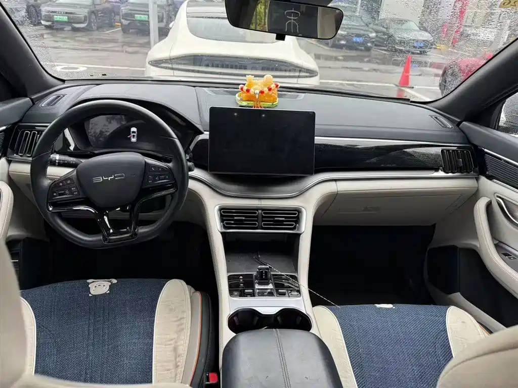 BYD SONGJIANG NEW ENERGY