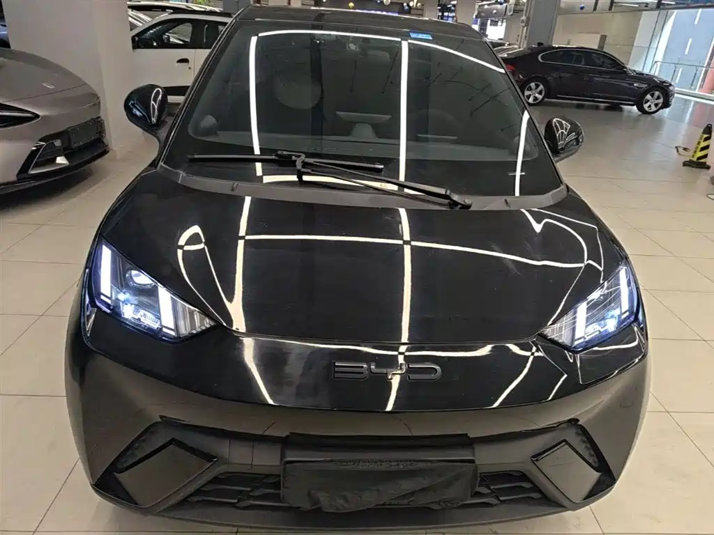 BYD Seagull 2023 Freedom Edition фото 3