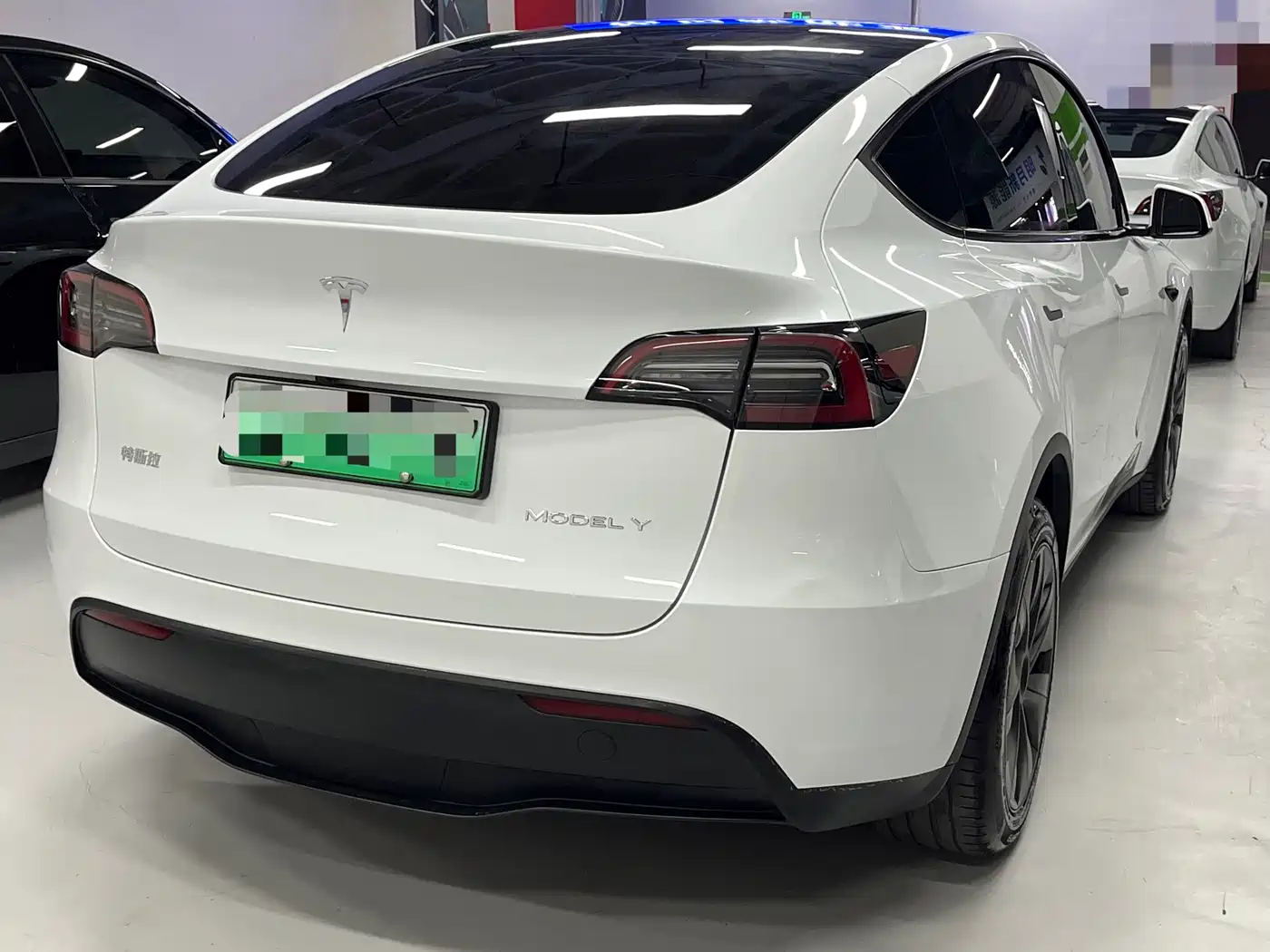 TESLA MODEL Y