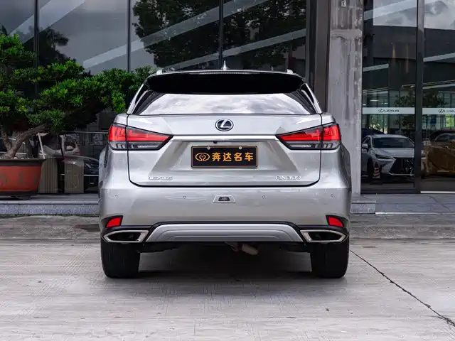 Lexus RX 2020 300 4WD Elegance Edition China VI — фото 5