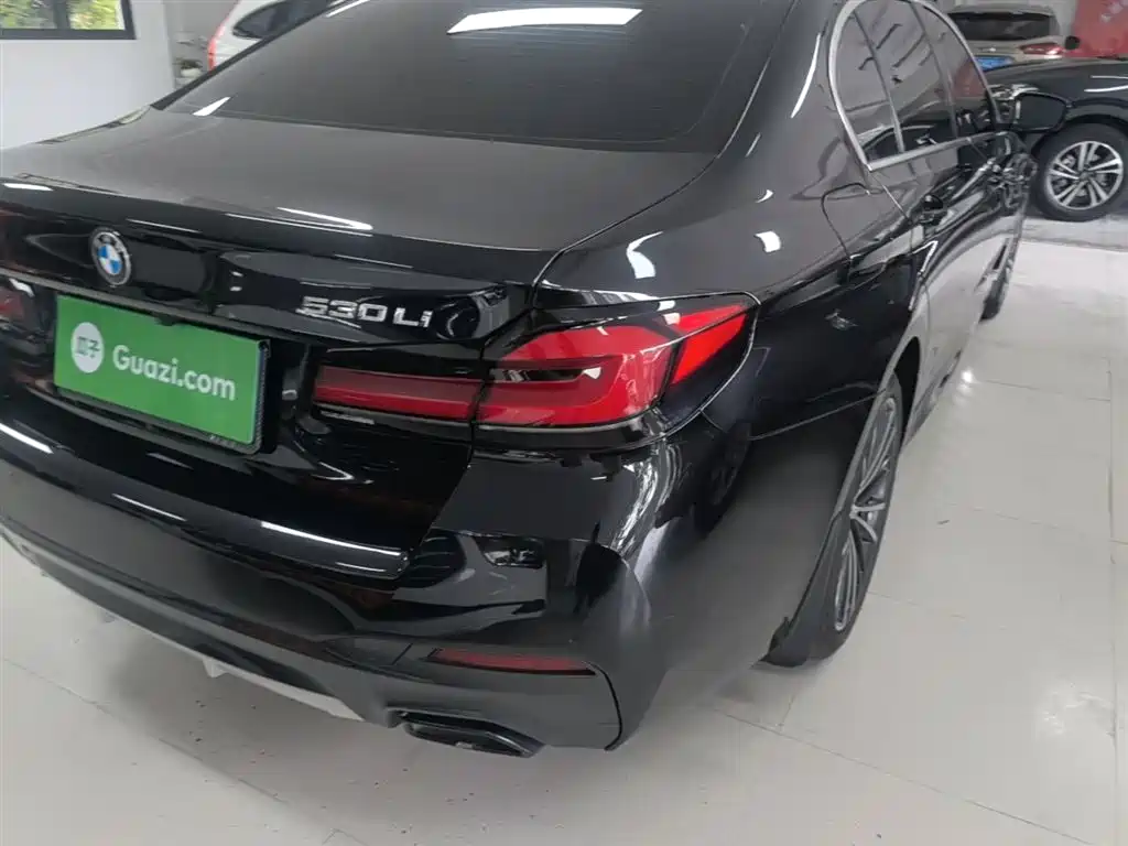 BMW 5 Series 2023 530Li Leading M Sport Package фото 8