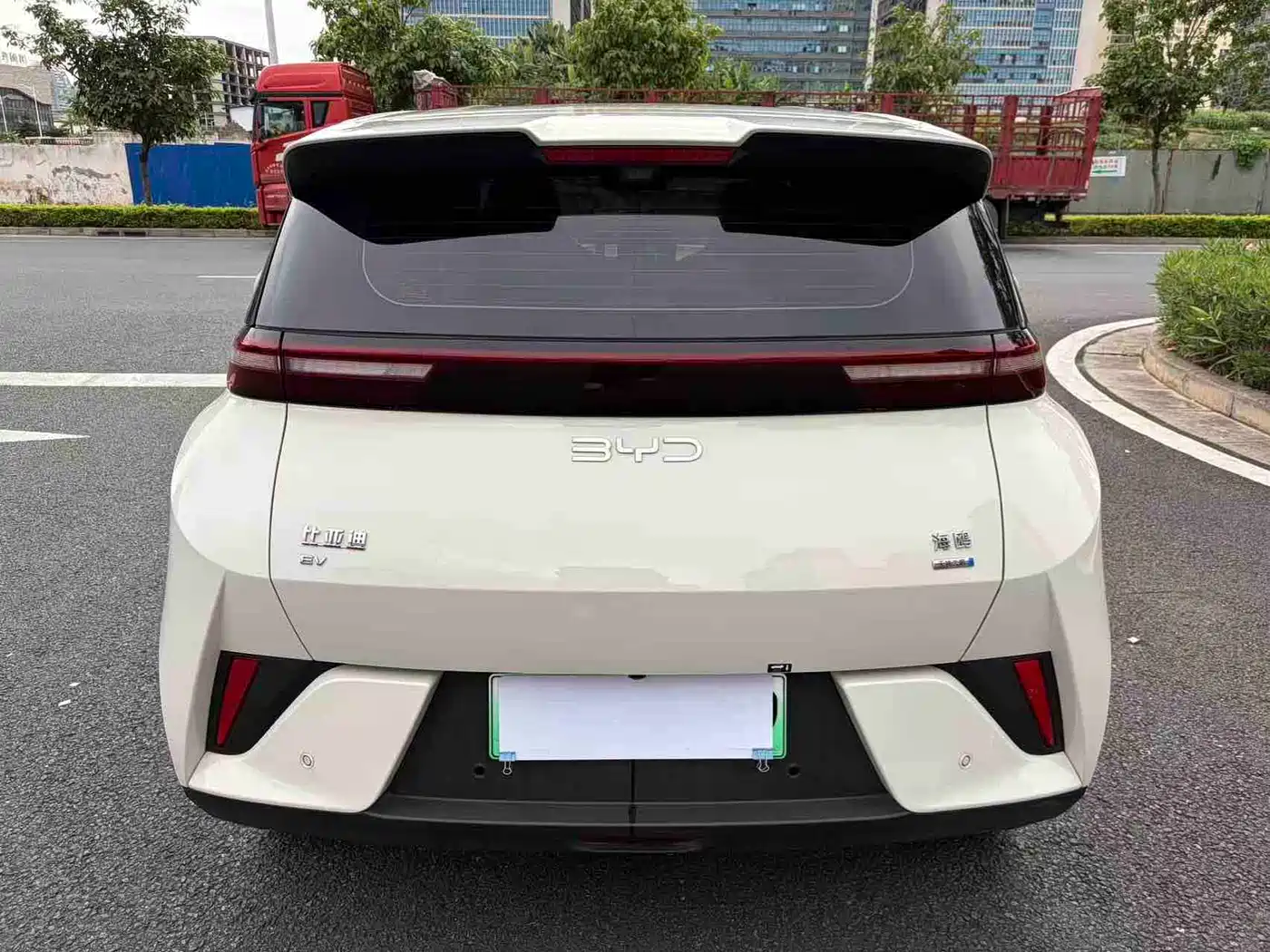 BYD Seagull 2026 2025 Smart Drive Edition 305km Freedom Version