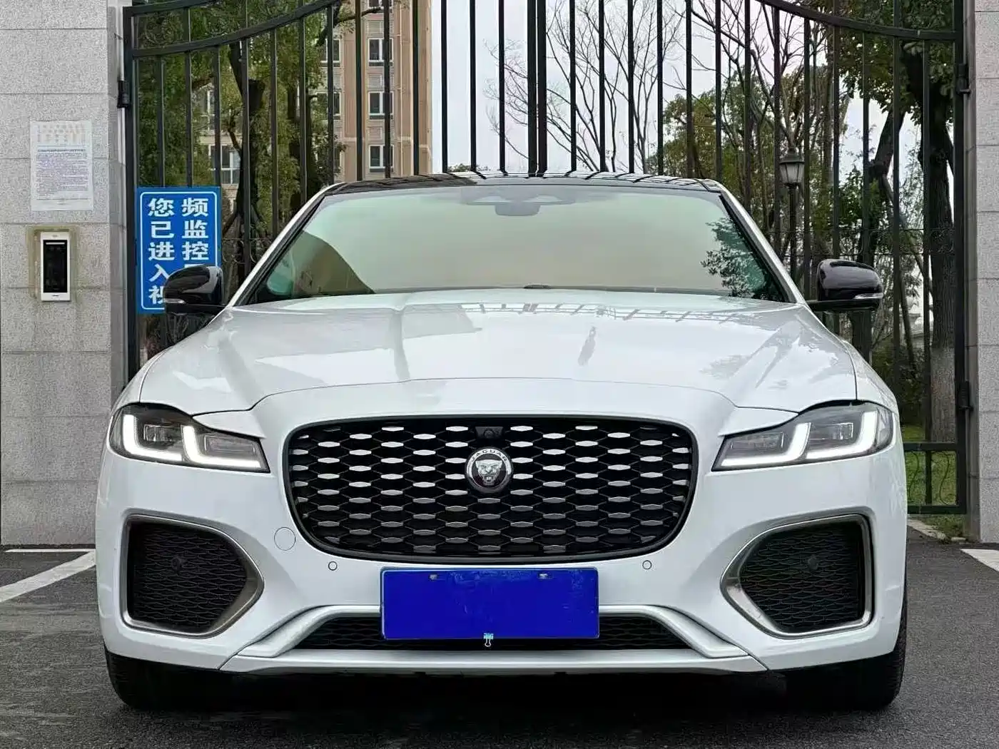 JAGUAR XFL