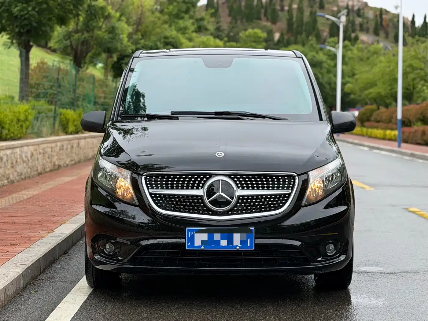 Mercedes-Benz Vito 2016 2.0T Elite 9-Seater фото 2