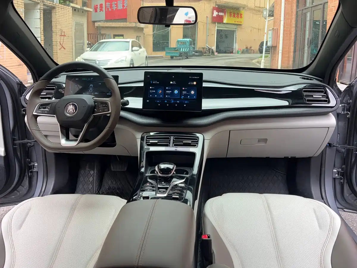 BYD Qin PLUS 2023 Champion Edition DM-i 55KM Leading фото 6