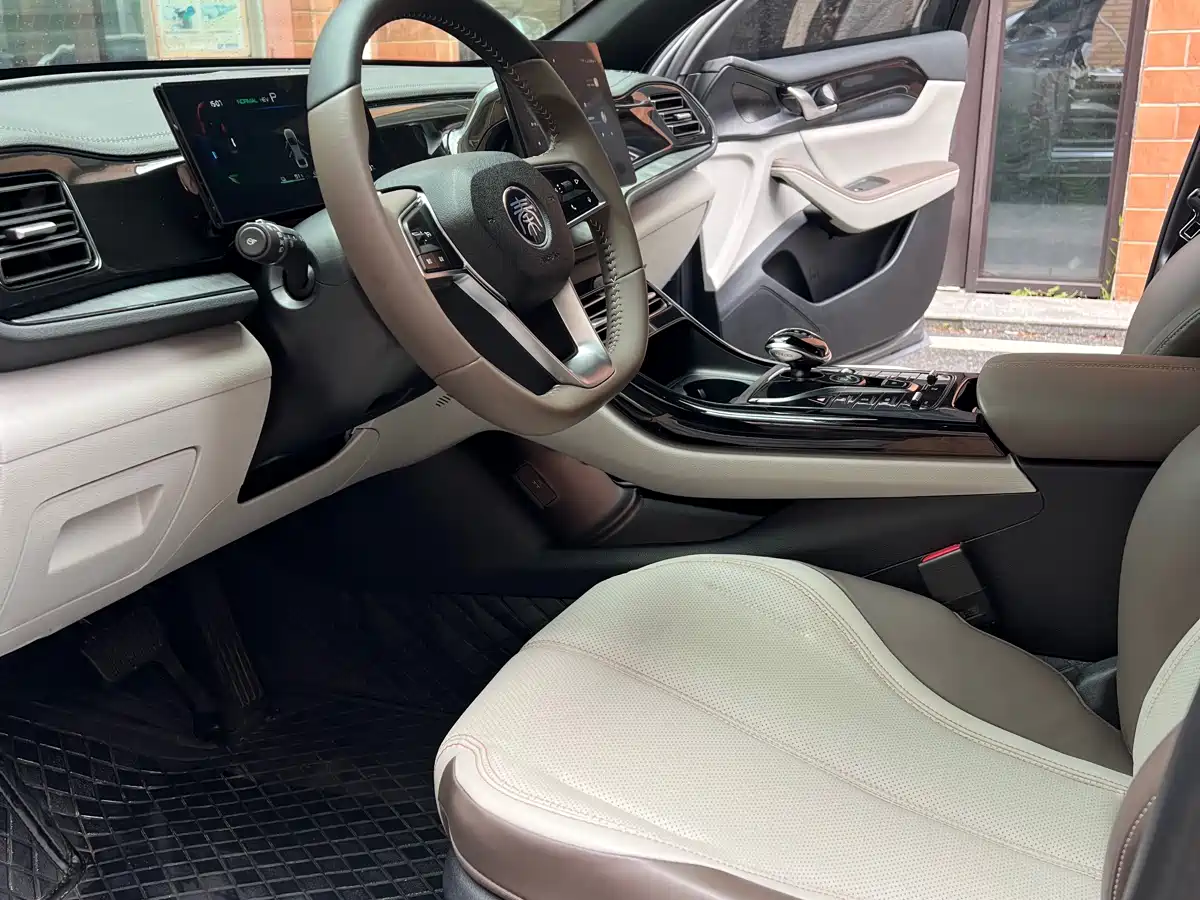 BYD Qin PLUS 2023 Champion Edition DM-i 55KM Leading фото 8