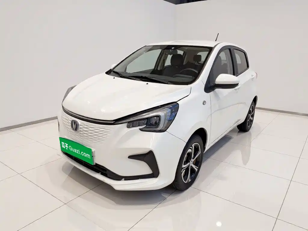Changan Benben E-Star 2021 2020 Heartjoy Edition NCM