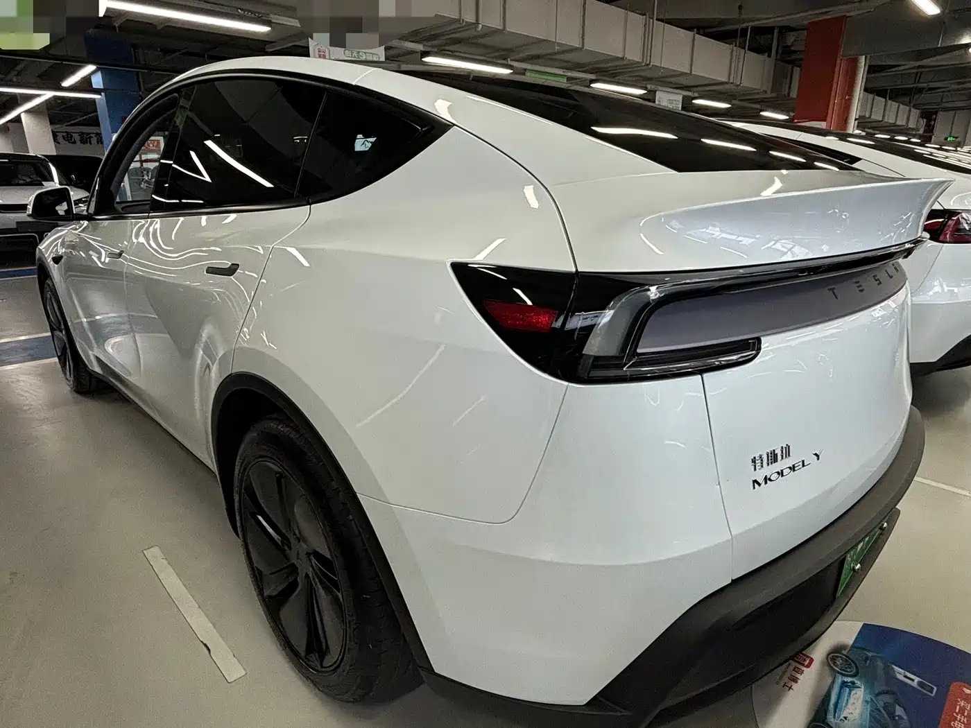 TESLA MODEL Y