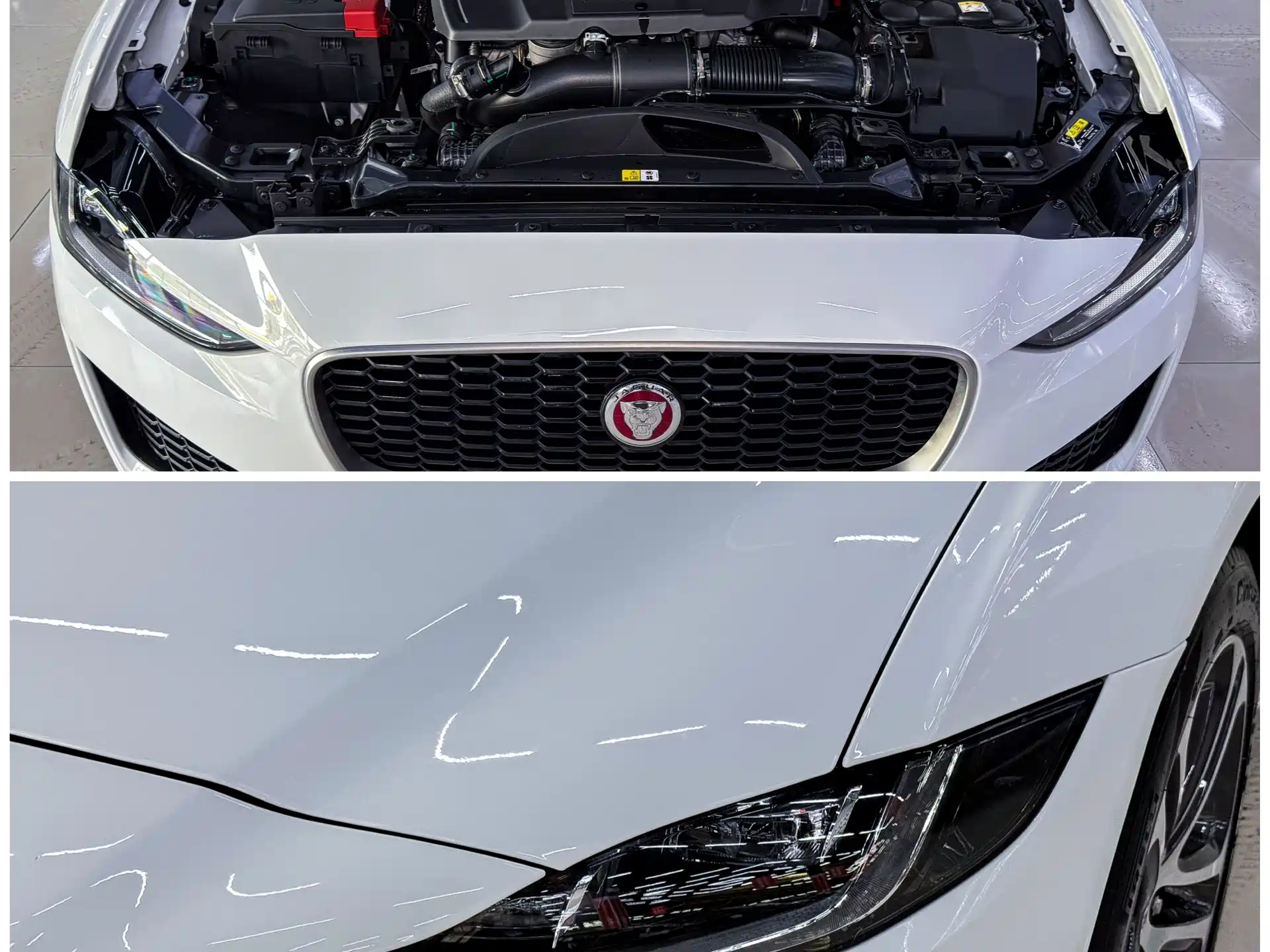 Фото 3 - Jaguar XEL
