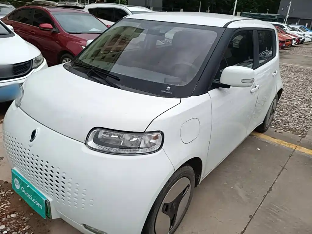 Ora White Cat 2021 2020 360km Standard Model