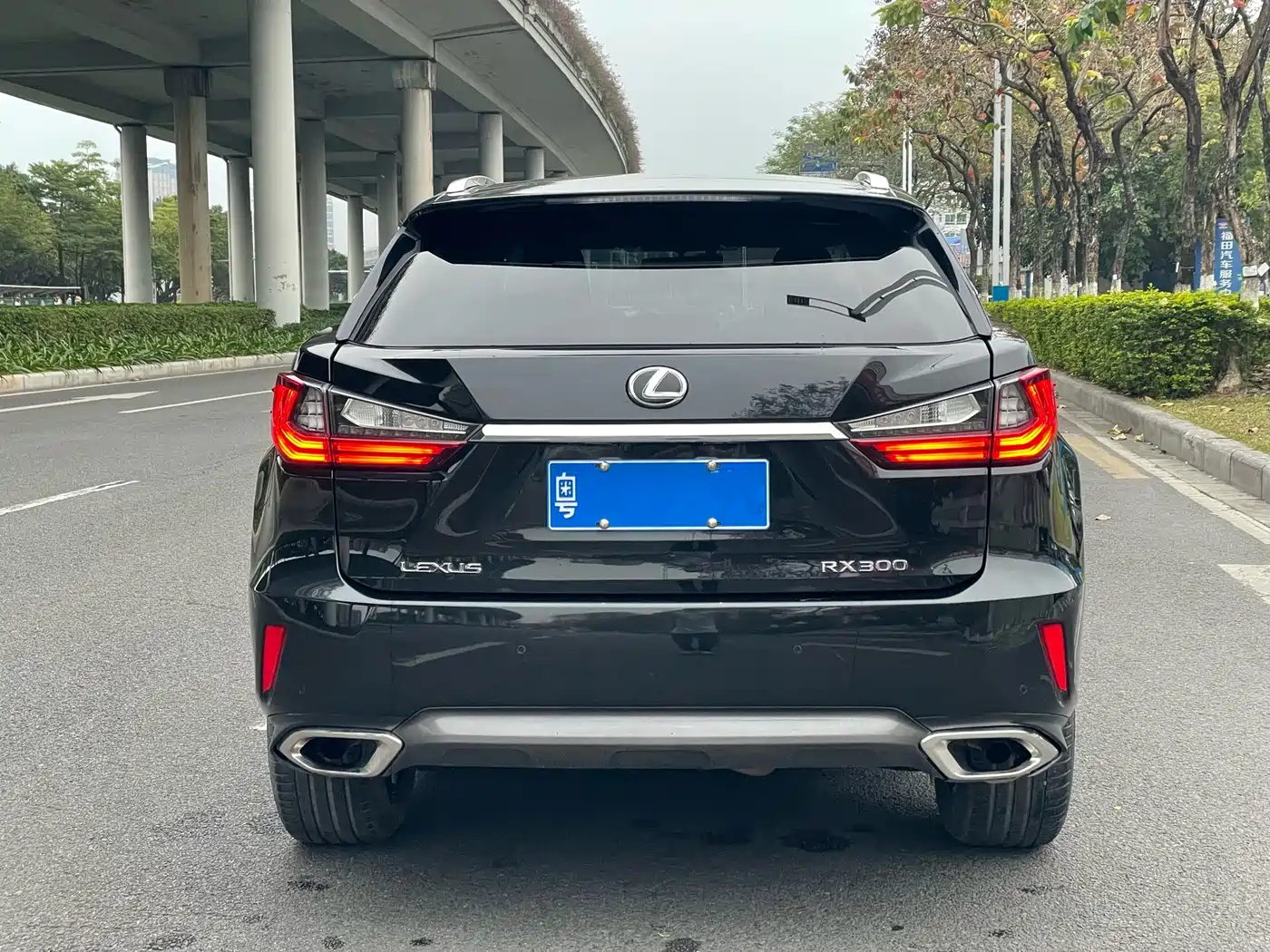 Lexus RX 2016 300 4WD Elegance Edition (China V) фото 4
