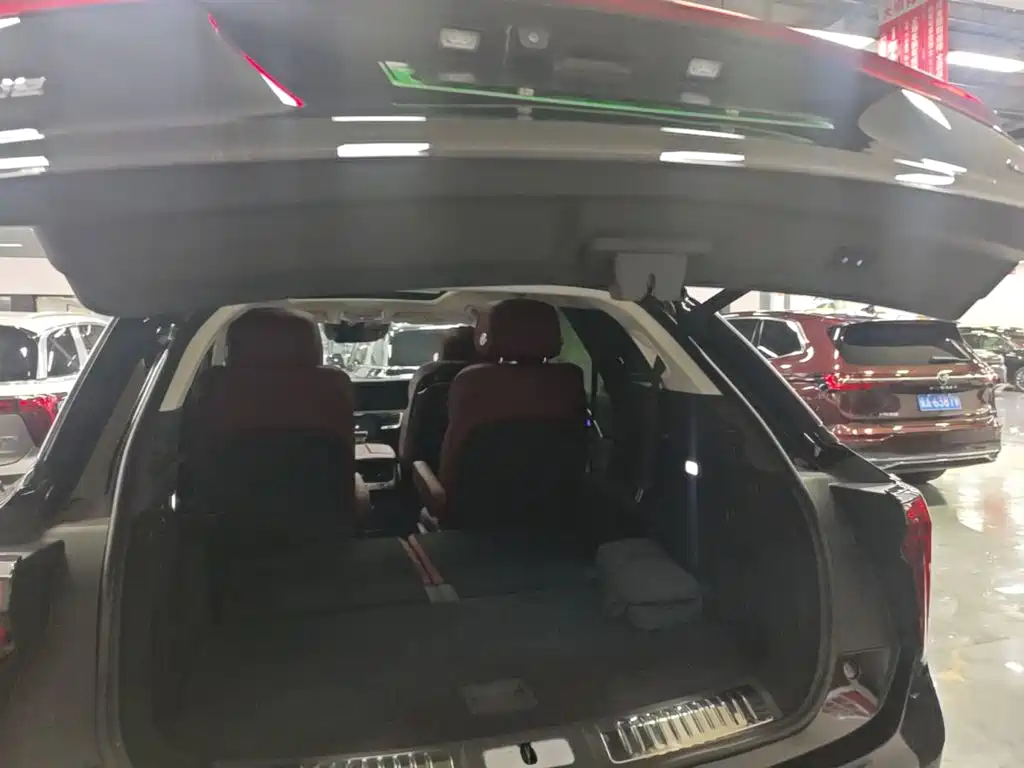 Hongqi E-HS9 2023 2021 460km Flagship Comfort 6-seater