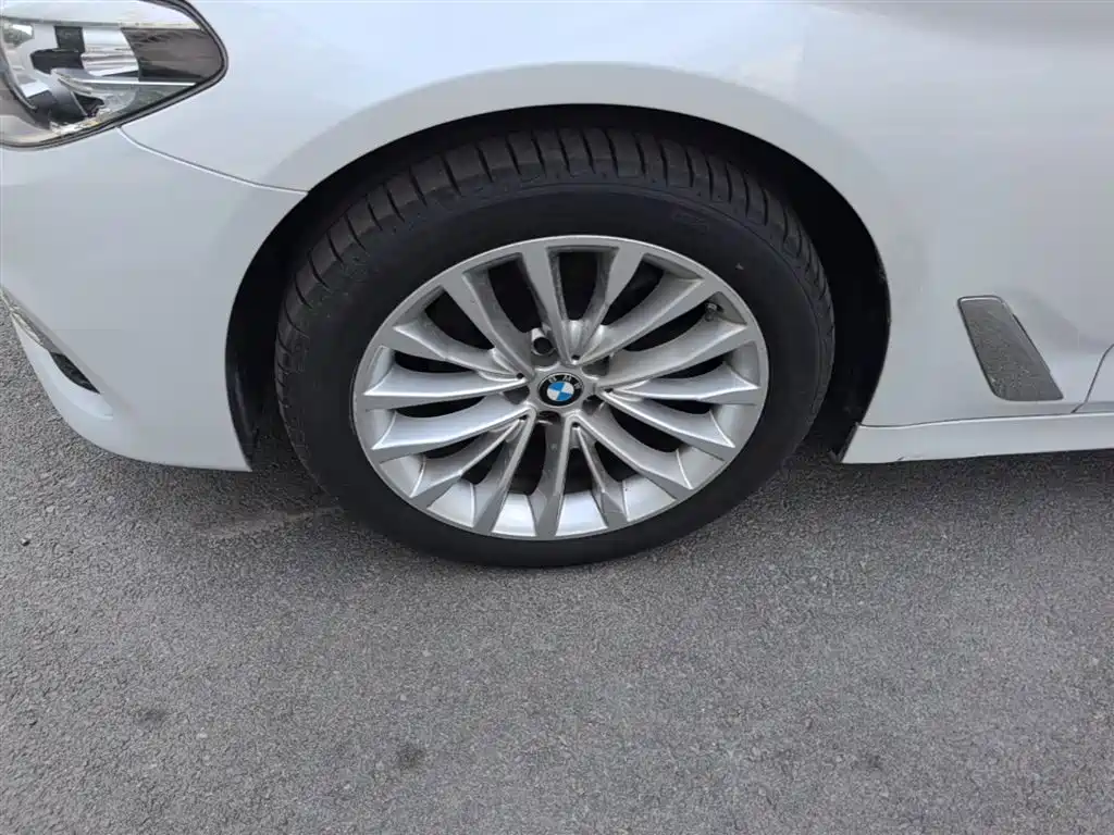 BMW 5 Series 2020 525Li Luxury Package фото 23