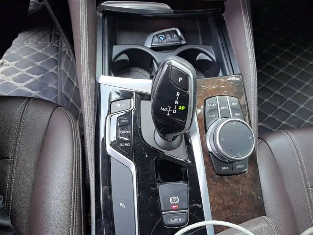 BMW 5 Series 2020 525Li Luxury Package фото 14