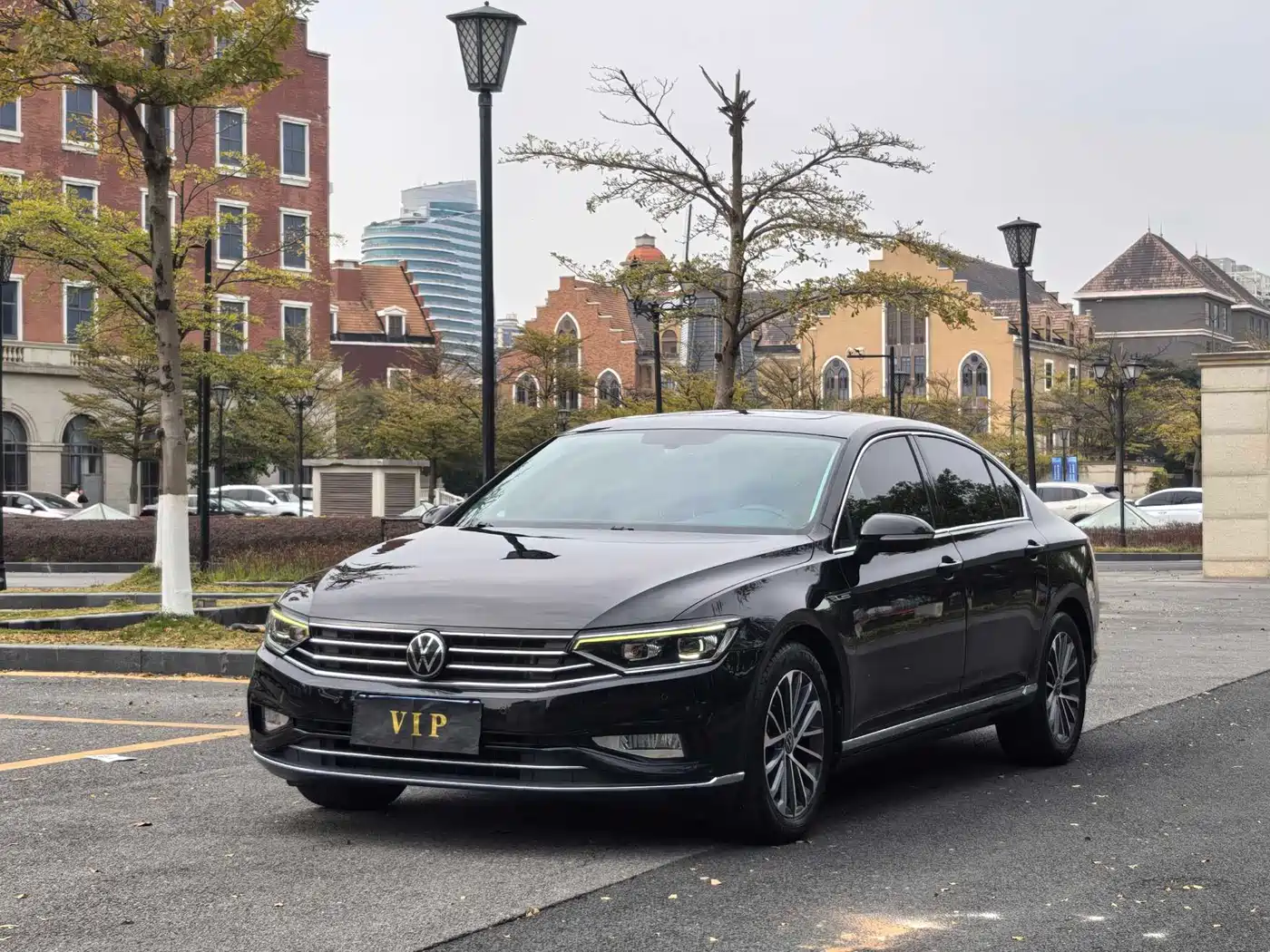 Volkswagen Magotan 2020 330TSI DSG Luxury