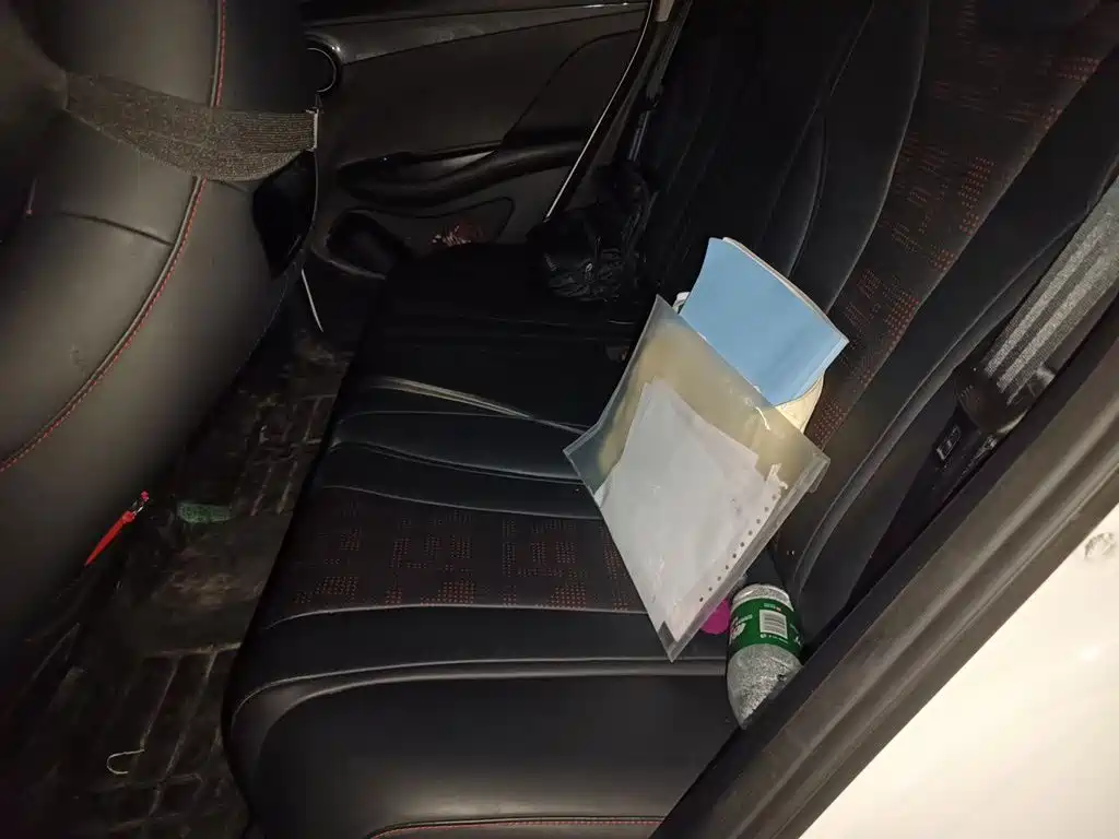 BYD e2 2023 2023 Luxury Model