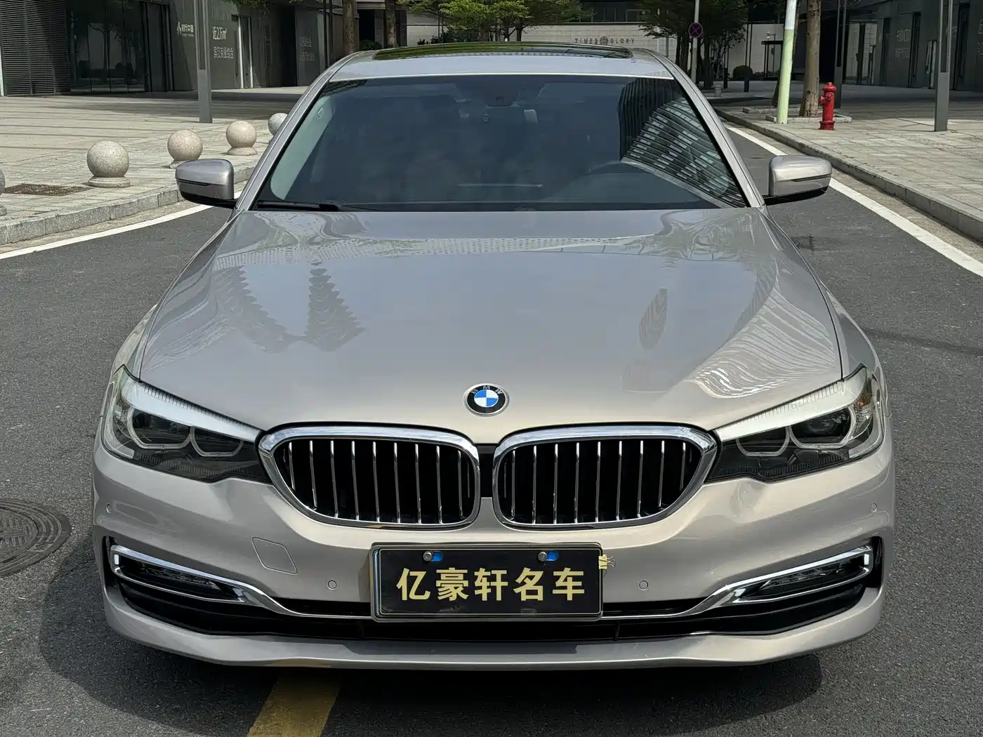 BMW 5 Series 2018 530Li Leading Luxury Package фото 2