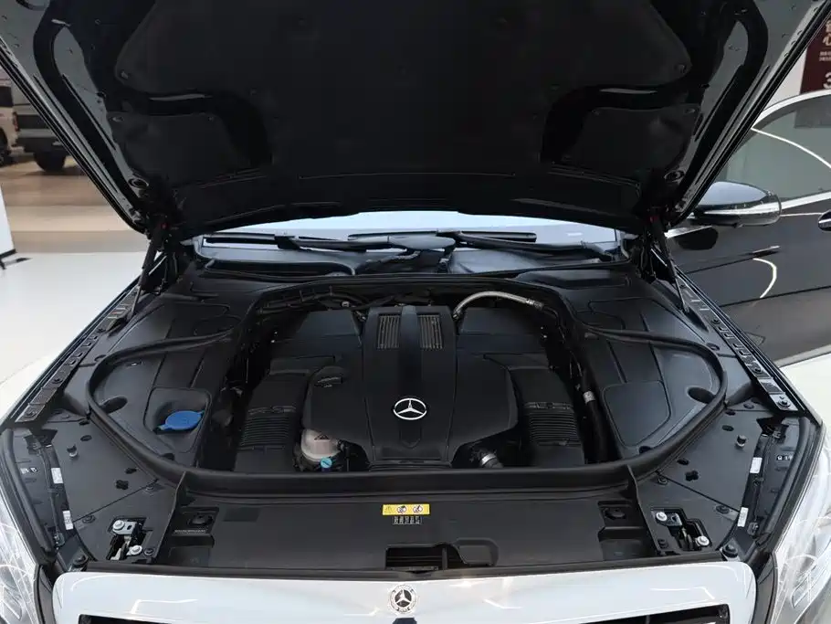 Mercedes-Benz S-Class 2017 S 320 L Luxury фото 21