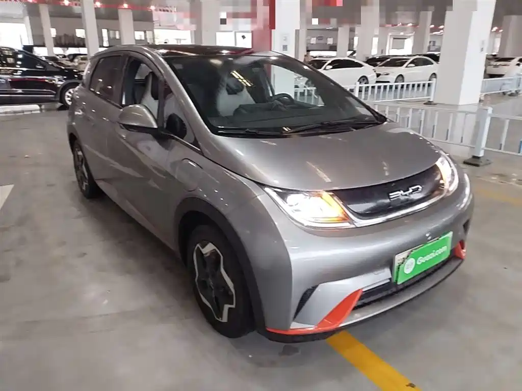 BYD Dolphin 2021 Model 405km Fashion Edition фото 4
