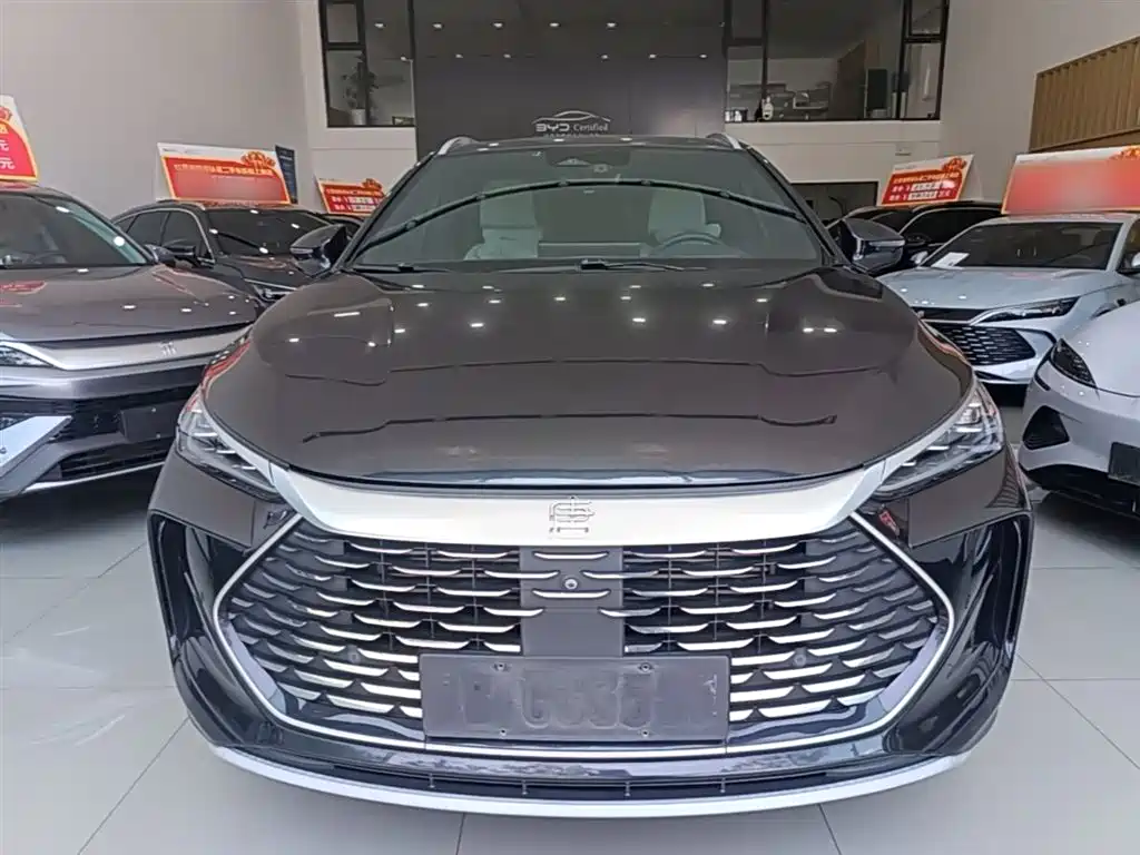 BYD Tang New Energy 2022 DM-p 215KM AWD Flagship фото 3