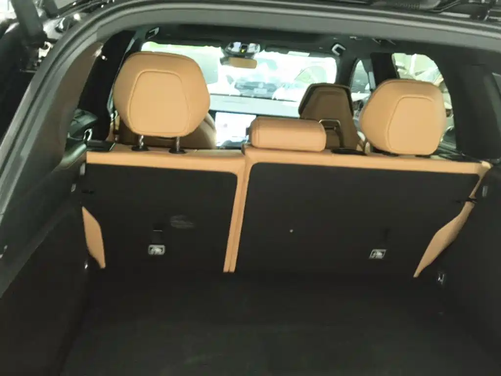 Lynk & Co 09 EM-P 2023 2.0TD EM-P AWD Asian Games Executive Edition 5-Seater фото 19