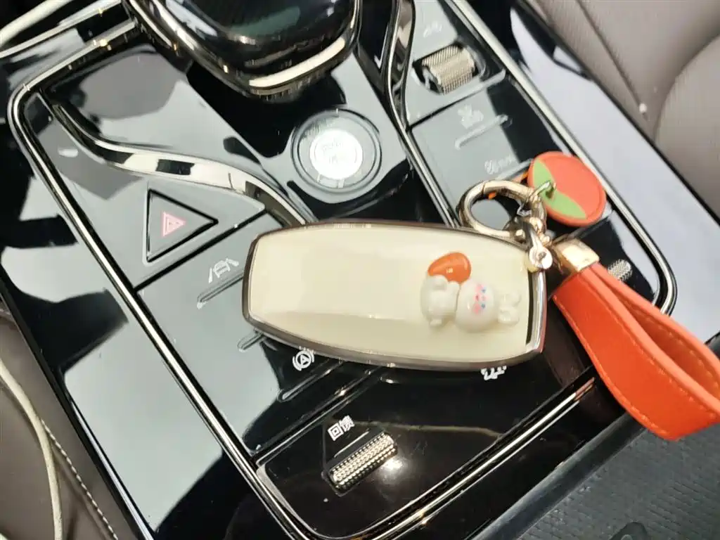 BYD Han 2020 EV Extended Range Luxury фото 9