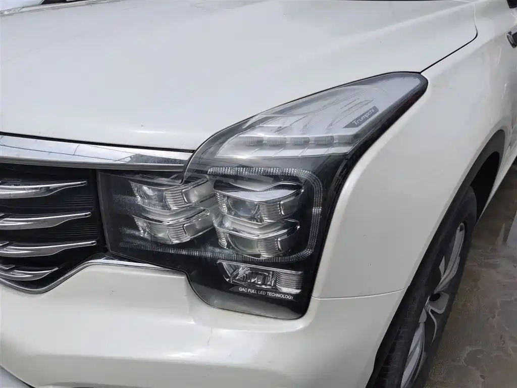 GAC Trumpchi Trumpchi GS8 2017 320T 2WD Luxury Smart Connect (7-seater) фото 24