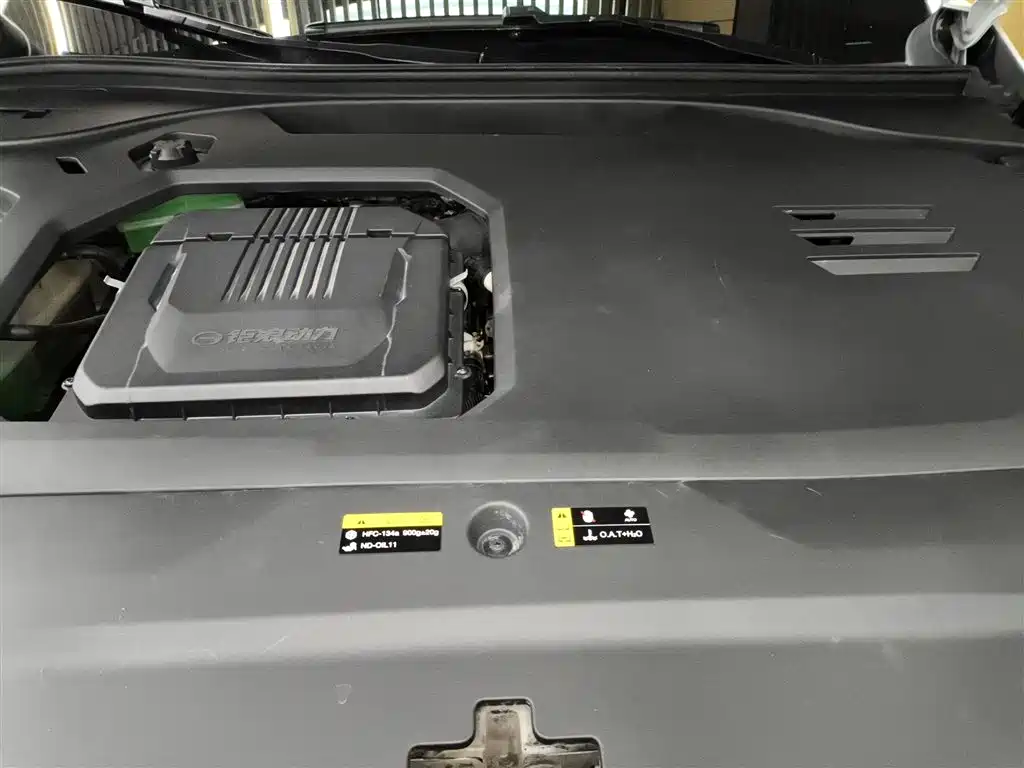 GAC Trumpchi Trumpchi ES9 2024 PHEV 143km Pro+ фото 20