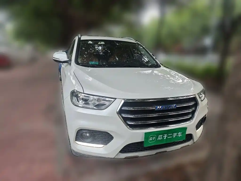Haval H2 2018 2018 Blue Label 1.5T Manual 2WD Elite