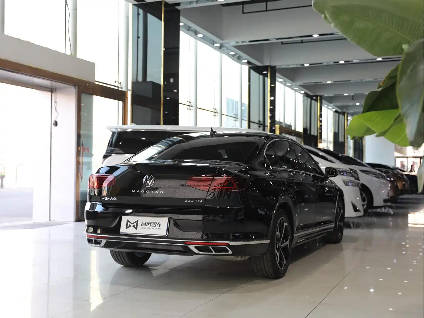 Volkswagen Magotan 2024 2 Million Units Public Sharing Edition 330TSI DSG Luxury фото 16