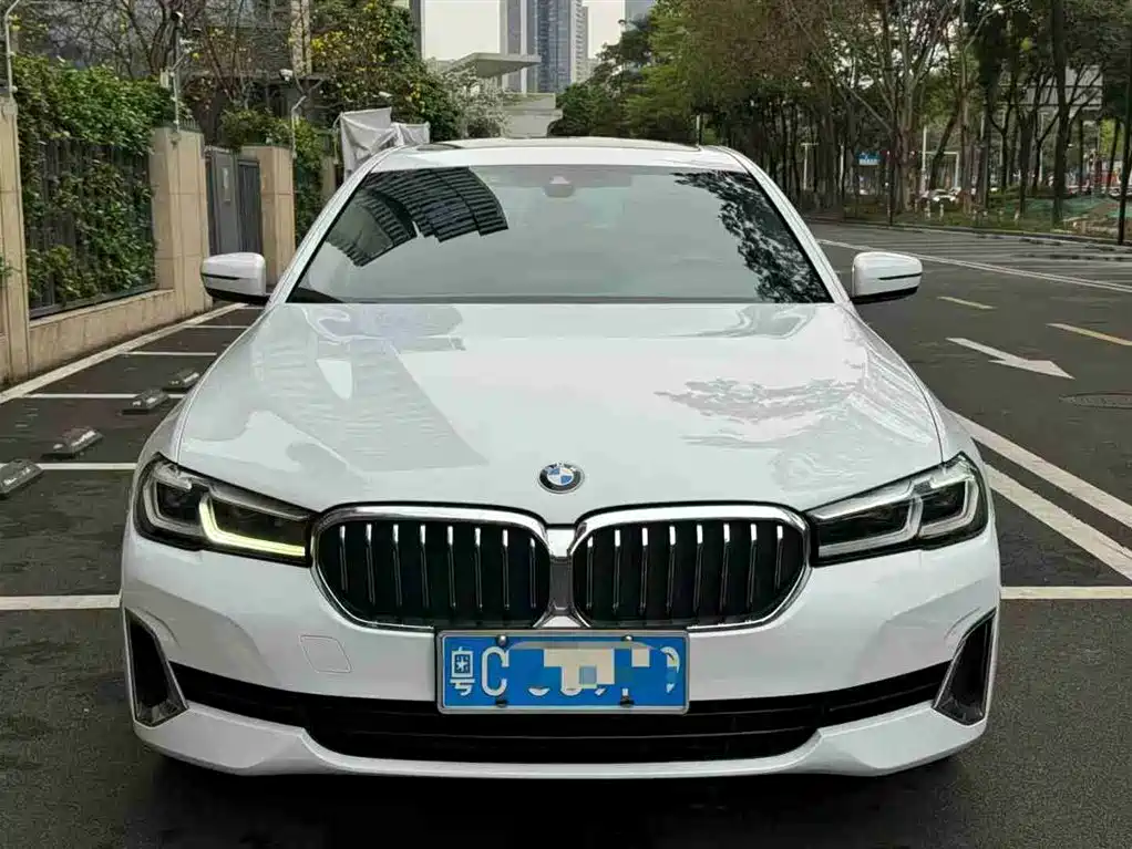BMW 5 Series 2021 530Li Leading Luxury Package фото 3