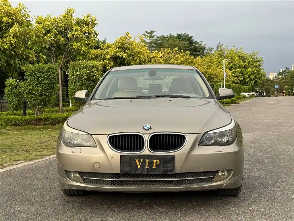 BMW 5 Series 2010 520Li Leading фото 2