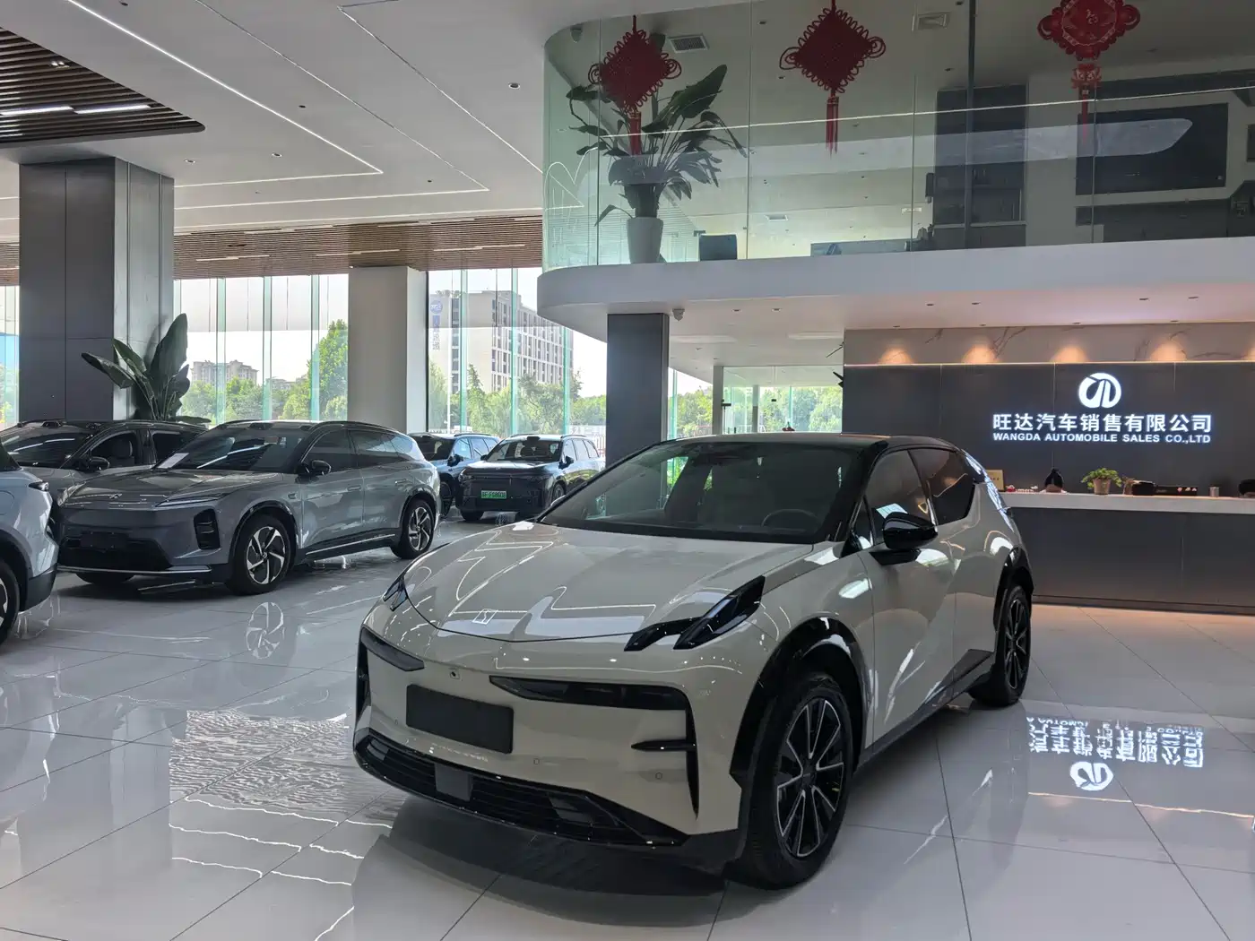 ZEEKR X 2025 Four-Seat Rear-Wheel Drive Magic Cube Edition