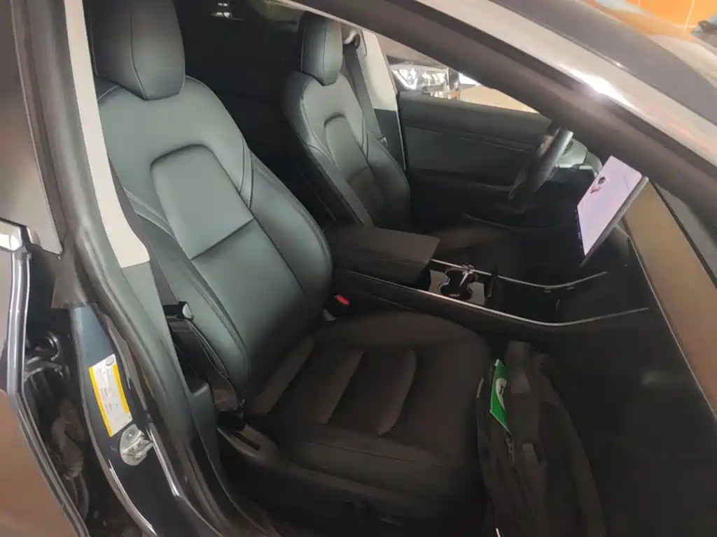 Tesla Model 3 2020 2020 Standard Range Rear-Wheel Drive Upgrade