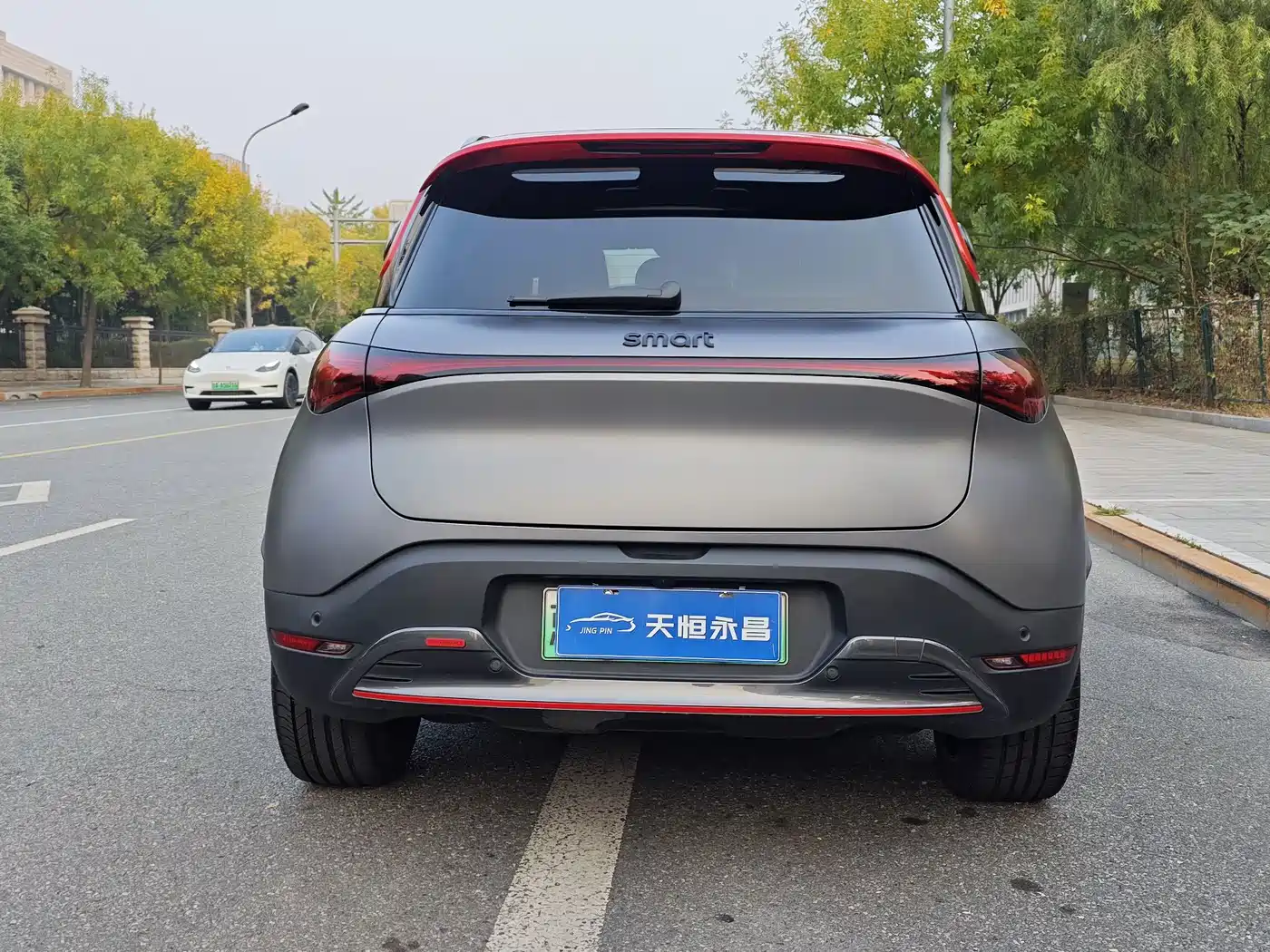 smart Elf #1 2023 2022 BRABUS Performance Edition
