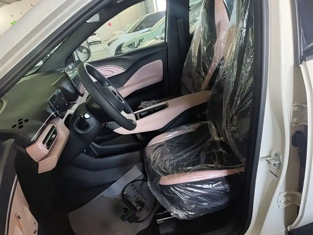 BYD Seagull 2026 2025 Smart Drive Edition 305km Vitality Version