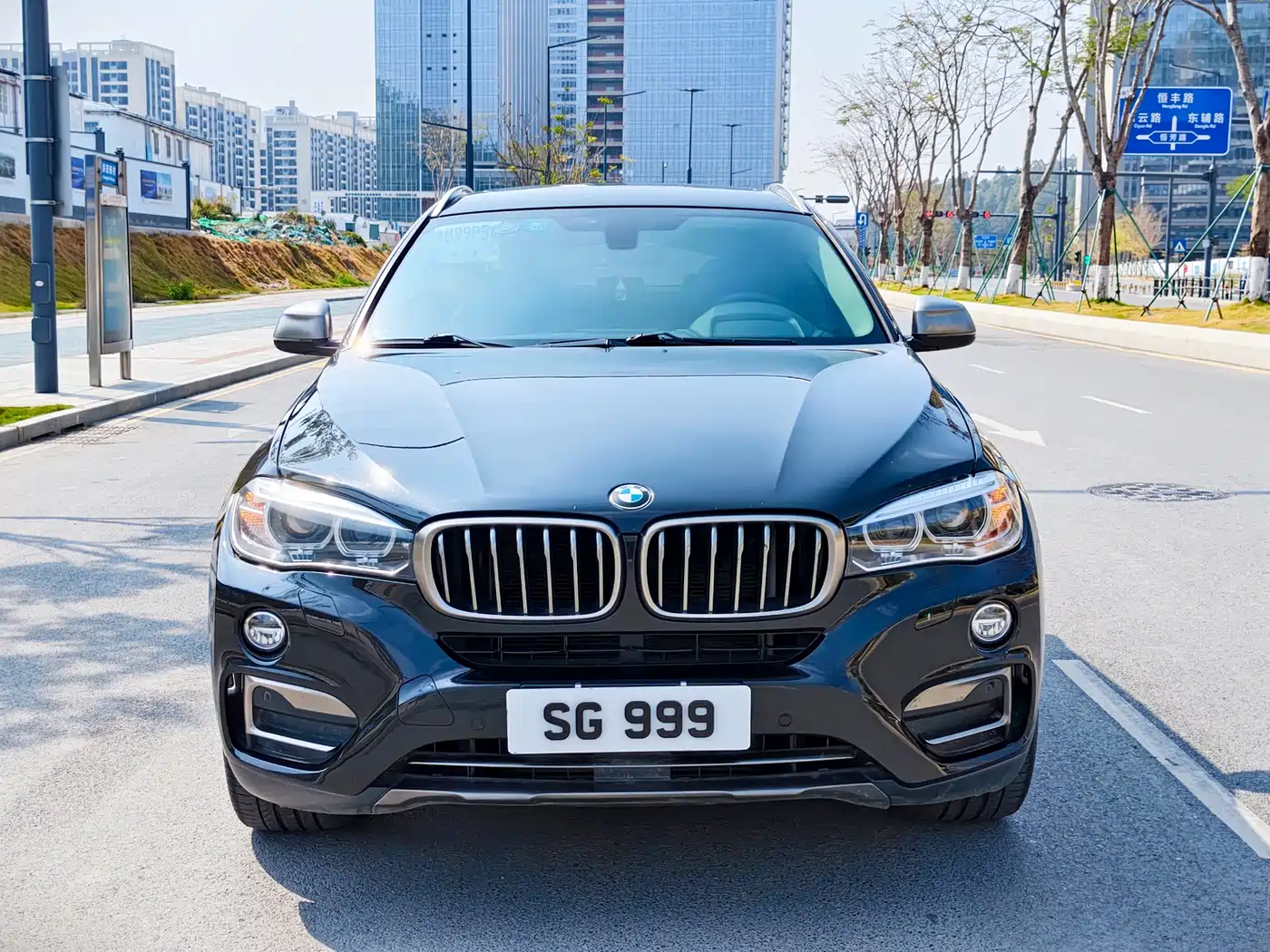 BMW X6 2017 xDrive35i Leading фото 2