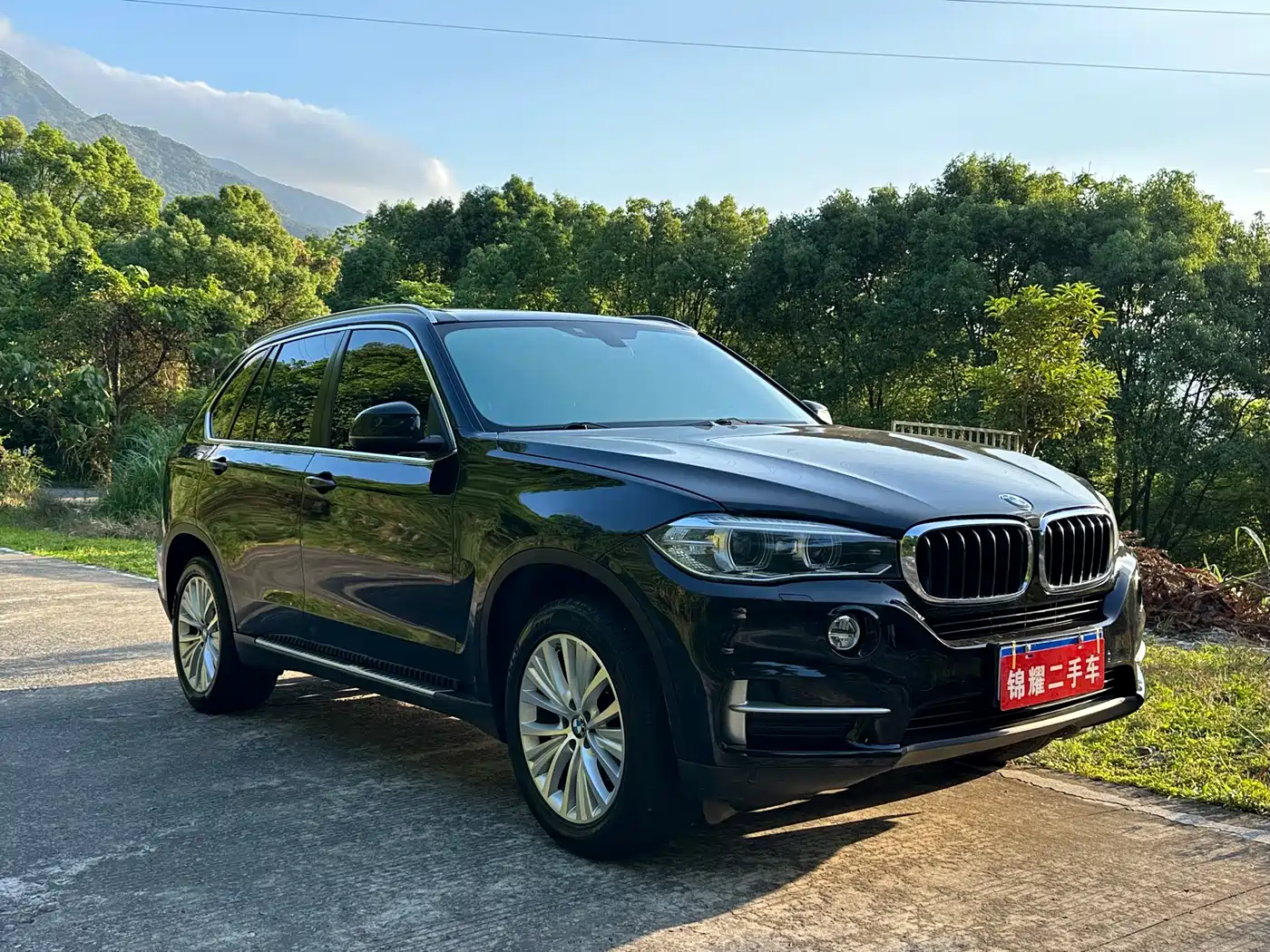 BMW X5 (Import) 2014 xDrive35i Leading фото 3