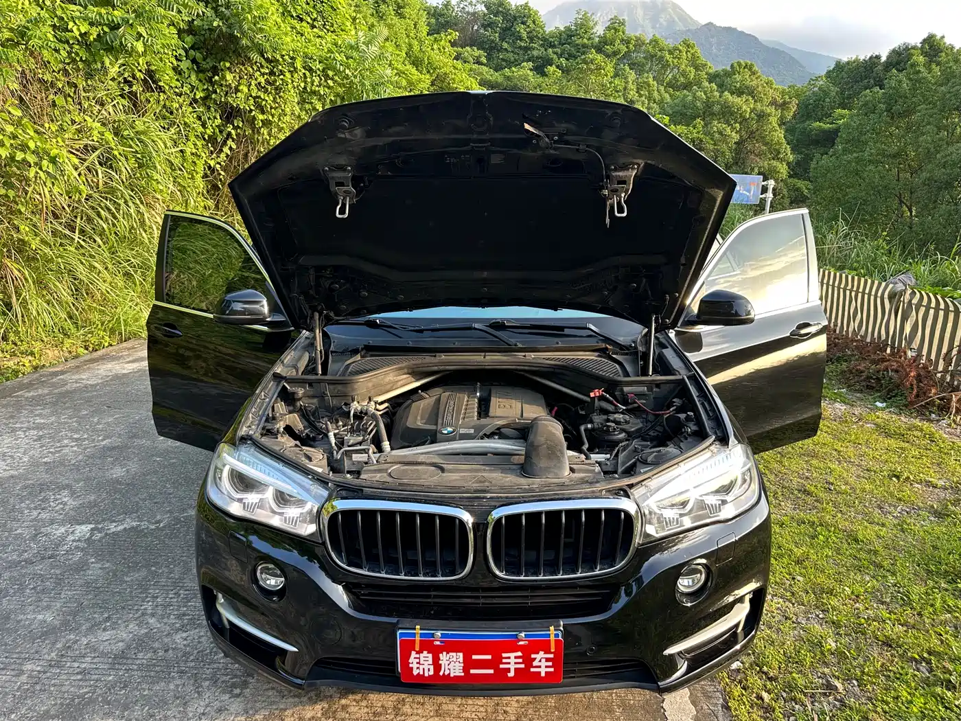 BMW X5 (Import) 2014 xDrive35i Leading фото 24