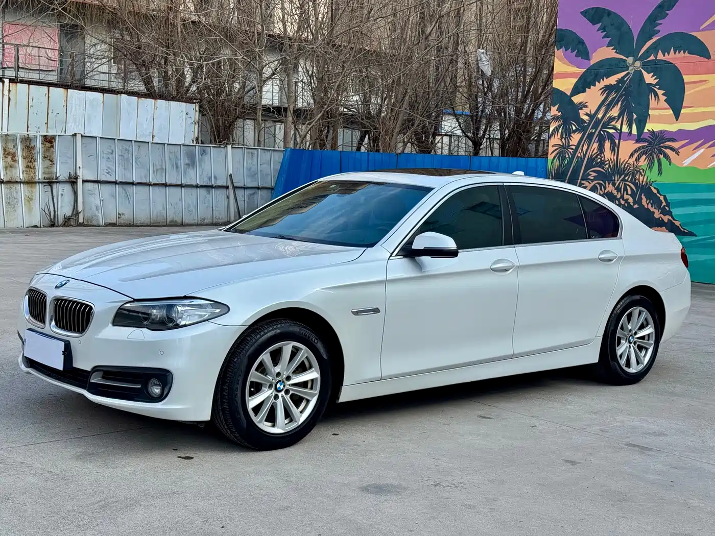 BMW 5 Series 2013 520Li Elegance фото 3